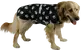 Velikost 2