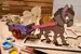 3D-puzzle coloring model Donkey (oslík)