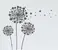 Allium