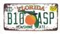 Dekorativní US značka - Florida B10