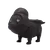 Černá hvězda