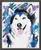 Abstraktní husky