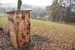 Jurta 01 - šedivá, u stodoly (38 m²)