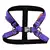 Postroj Torronto nylon Sun