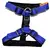 Postroj Torronto nylon Sun