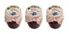 3 x 200 g Džem s brezovým cukrom a stéviou (trnkový)