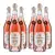 Set 6 lahví Casa Marrone BIO Rosato