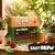 Dárková sada na pěstování chilli papriček – Easy Grow