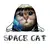 Space Cat