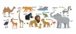 14 zvířat animals učení