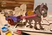 Drevené 3D vyfarbovacie puzzle (somárik s vlečkou)
