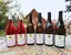 6 x 0,75 l Kartón vín z nitrianskeho vinárstva Bíro (polosladké a sladké vína)