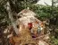 Treehouse Bojnice IV (15 m²)