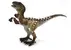 Velociraptor